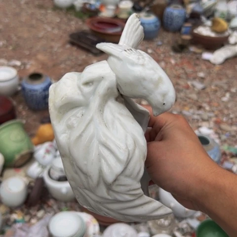 魏***哥杂色豆（科檀/科特迪瓦檀木）