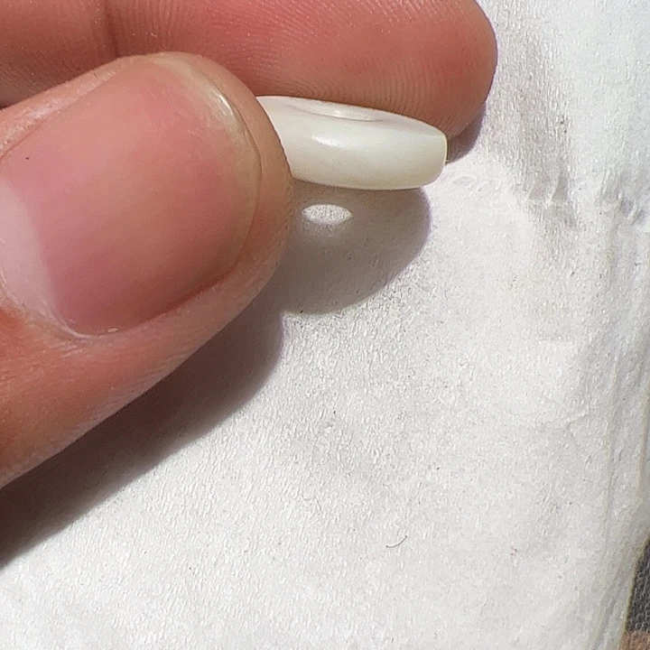 香榧木我也有很多的