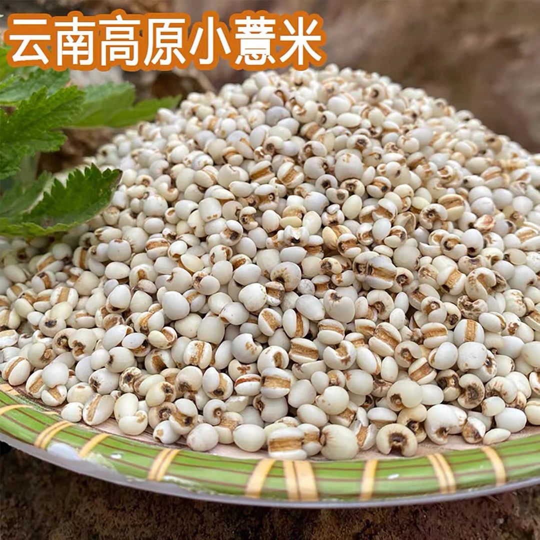 【农家小薏仁】云南薏仁米优质新货薏米五谷杂粮薏米仁粗粮代餐粮食
