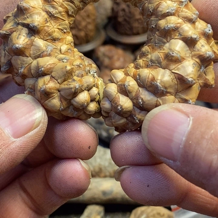 文玩核桃吊坠东北特产343