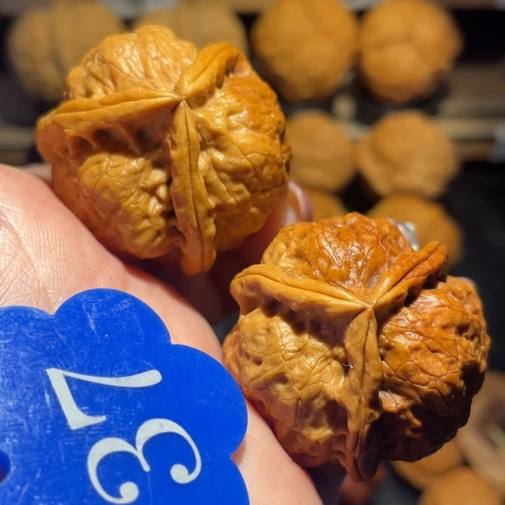 七彩磐石三棱尺寸36
