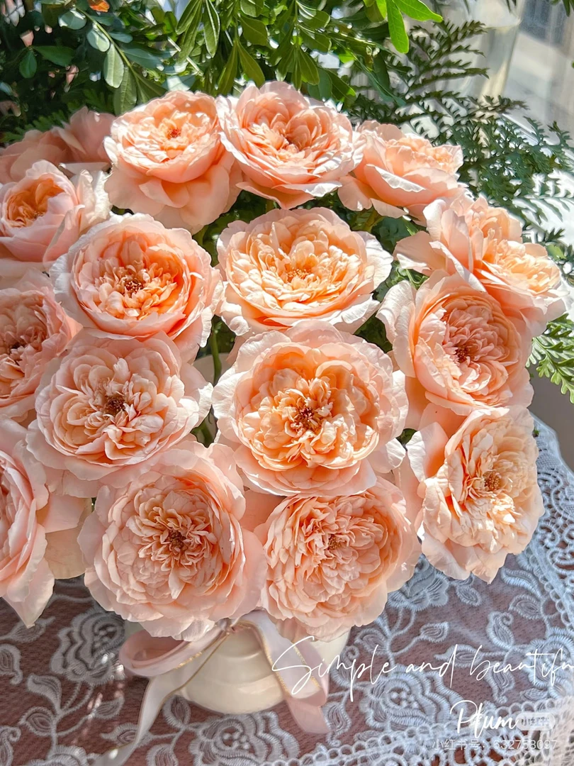 （德芮尔）多头纺丽10支！三件顺丰空运20%不售后