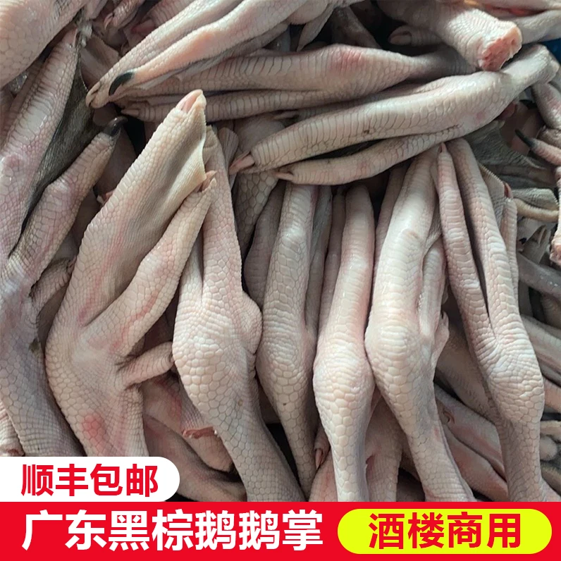 新鲜正宗广东黑棕鹅现杀大鹅掌亦生鹅掌农家散养鹅脚板鹅爪鹅掌翼
