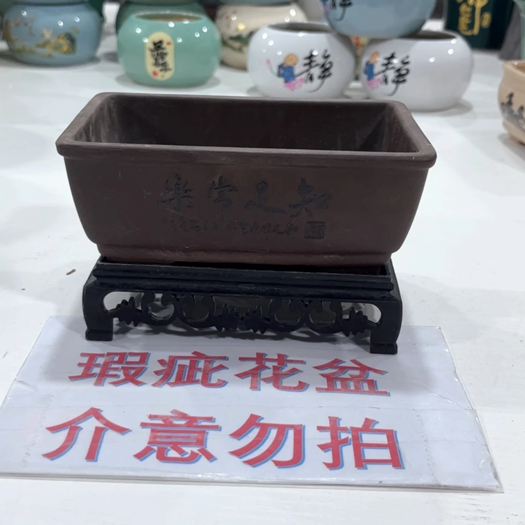 陶瓷绿植多肉花盆拍满8.8包邮发货