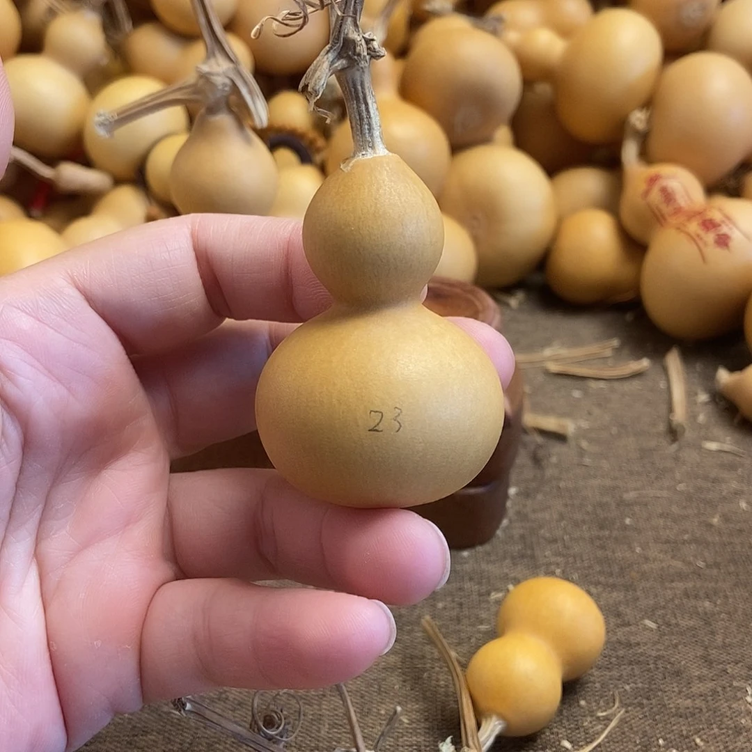 文玩葫芦 完美主义者 慎拍23