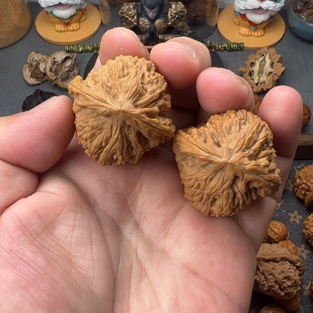 40逐鹿南疆石全品