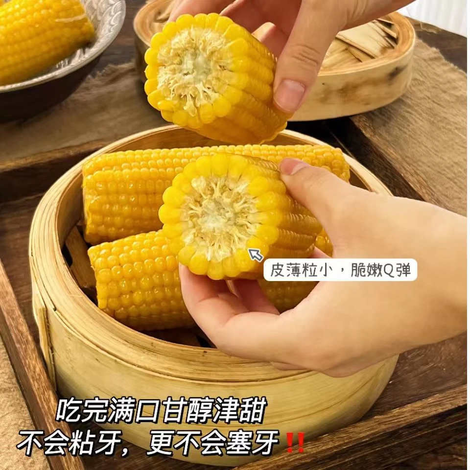 2025年内蒙古正宗香糯玉米