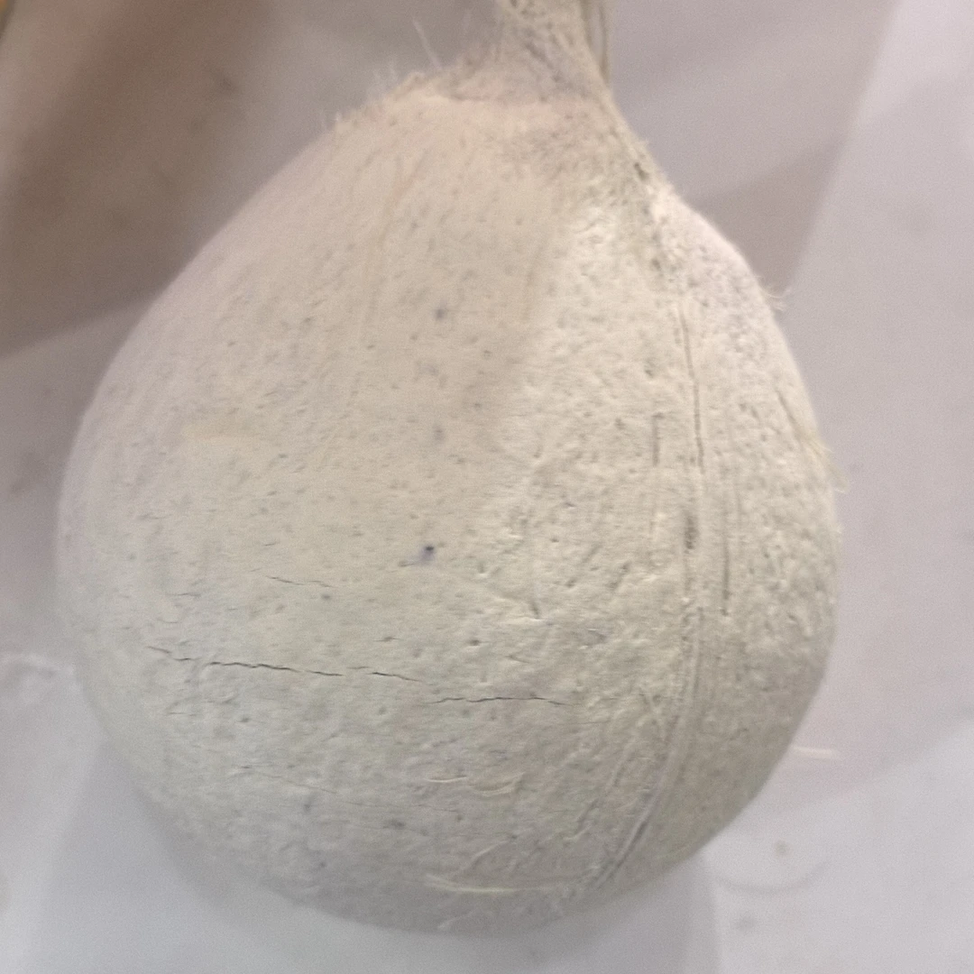 泰国椰皇椰青一个约800g