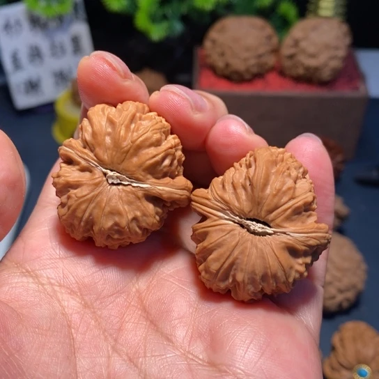 文玩核桃把件文玩白狮子001