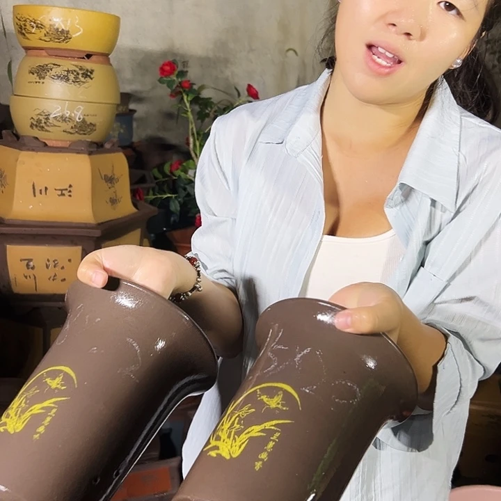 18+15印金兰花盆花盆花盆