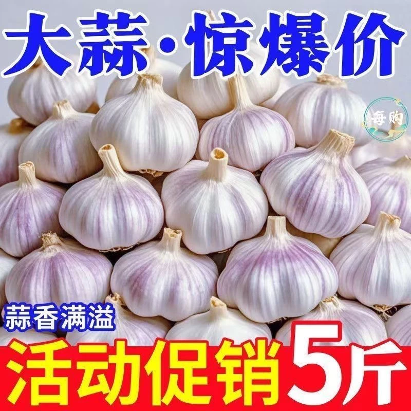 [2025年新干蒜]5斤新干蒜农家直发大蒜紫白皮干大蒜头蒜1斤3斤9斤