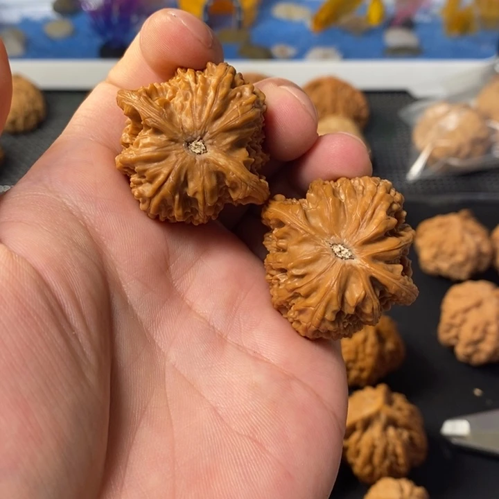 把件桃核4688644578