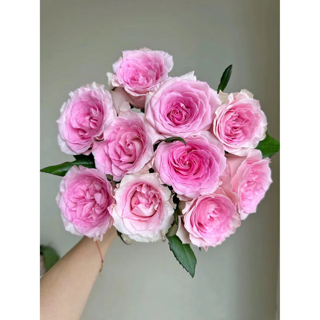 套餐44  易开炸洛神玫瑰10支+中花向日葵3支+小天使康乃馨20支