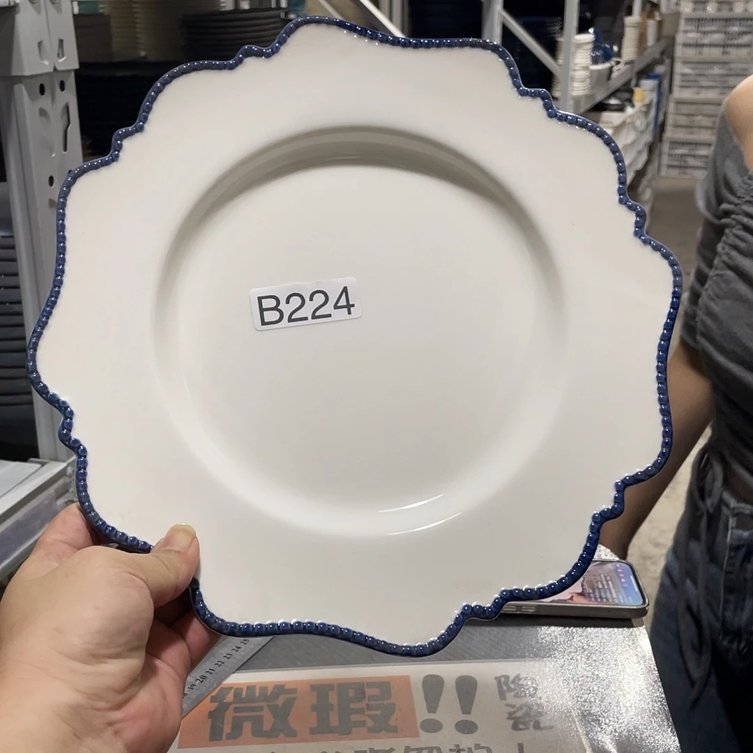 瓷片224          2个