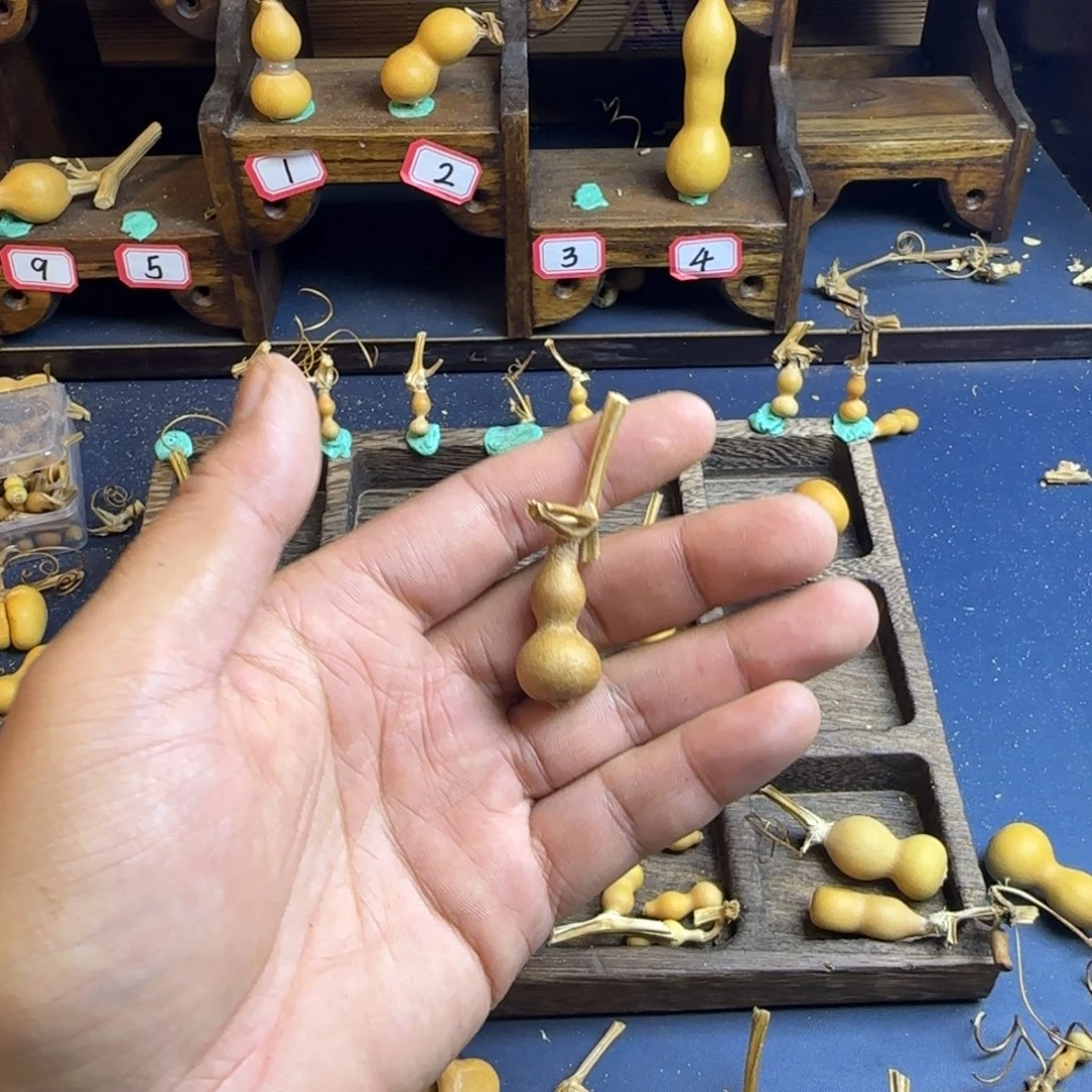 阿*莫我是一只小小鸟地域鬼的人生