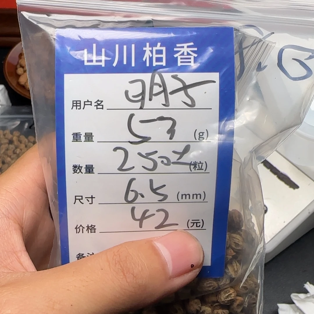 明***明柏香籽/百香籽吊坠
