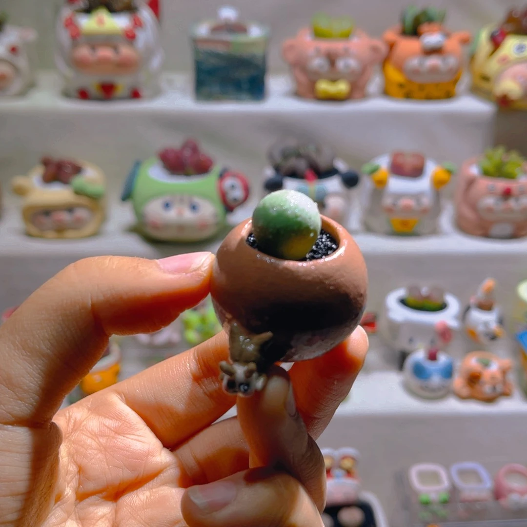 003鸽子蛋带盆土一套26