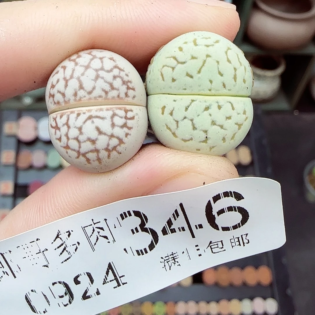 满满18包邮0924-346