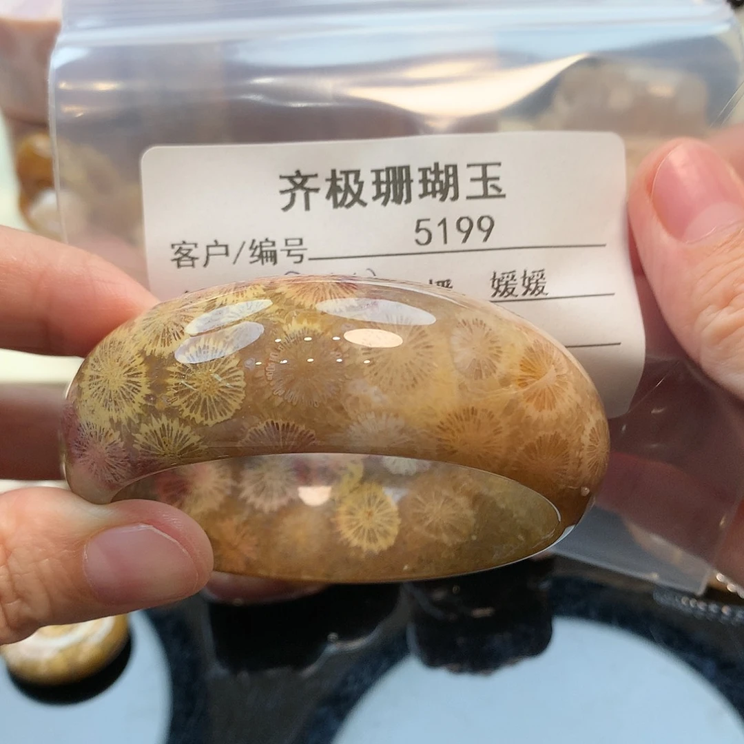 未镶嵌手镯硅化珊瑚（珊瑚玉）兔*朵