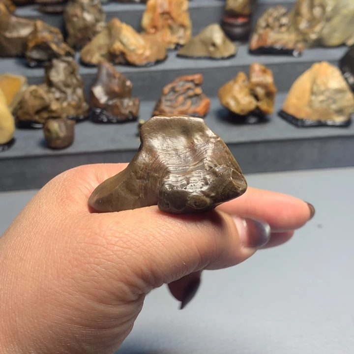 阿拉善天然奇石奇石一方