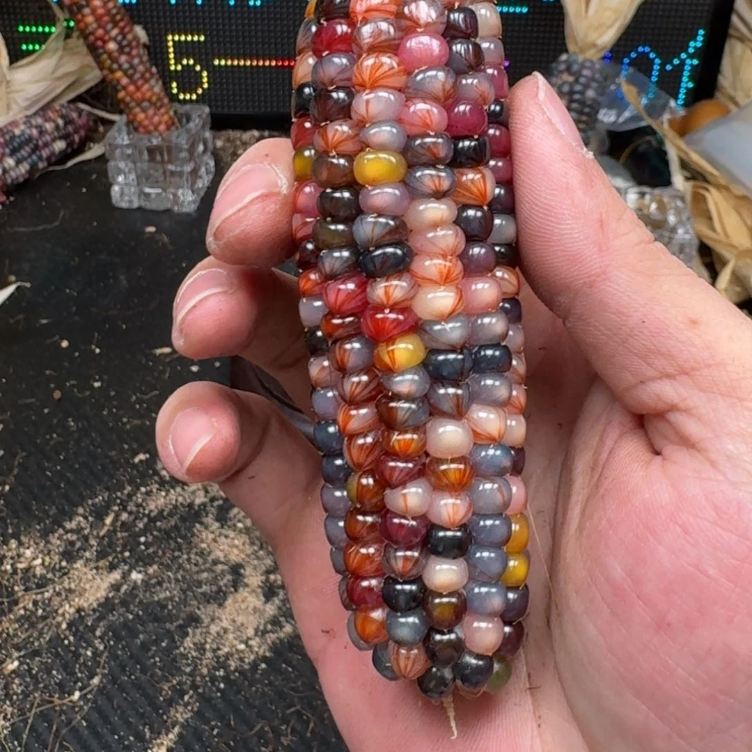 柏香籽/百香籽吊坠梵*山