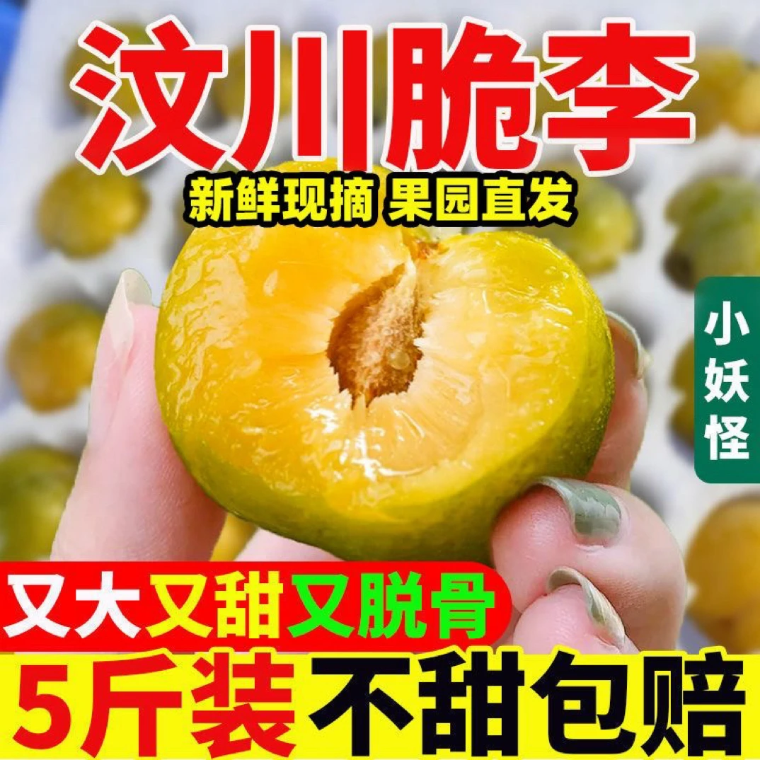 四川正宗冰糖脱骨李顺丰新鲜包邮大果产地直发比六马蜂糖李甜