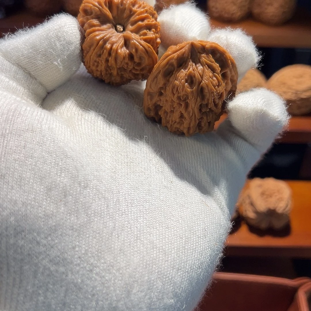 赵***）核桃涿鹿南疆石一代果