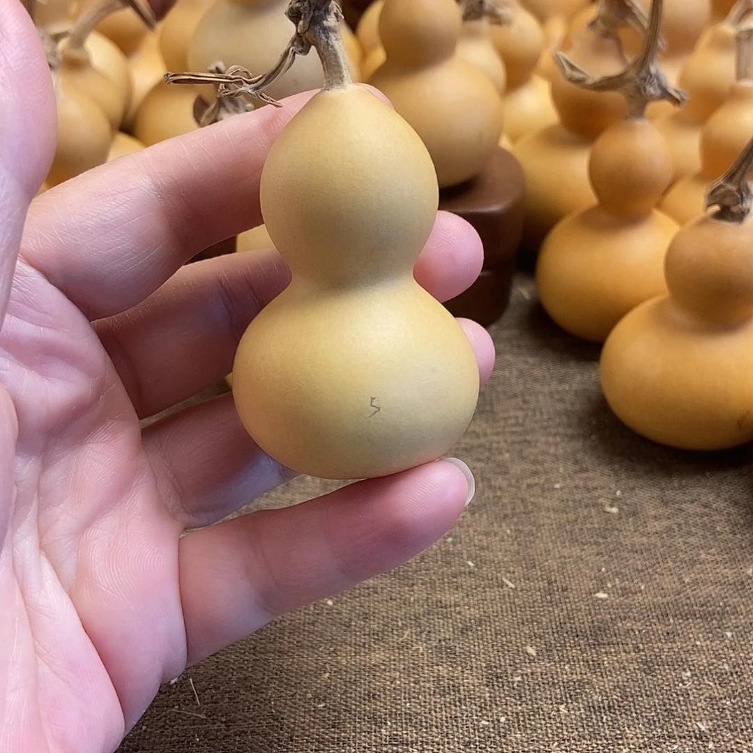 文玩葫芦 完美主义者 慎拍5
