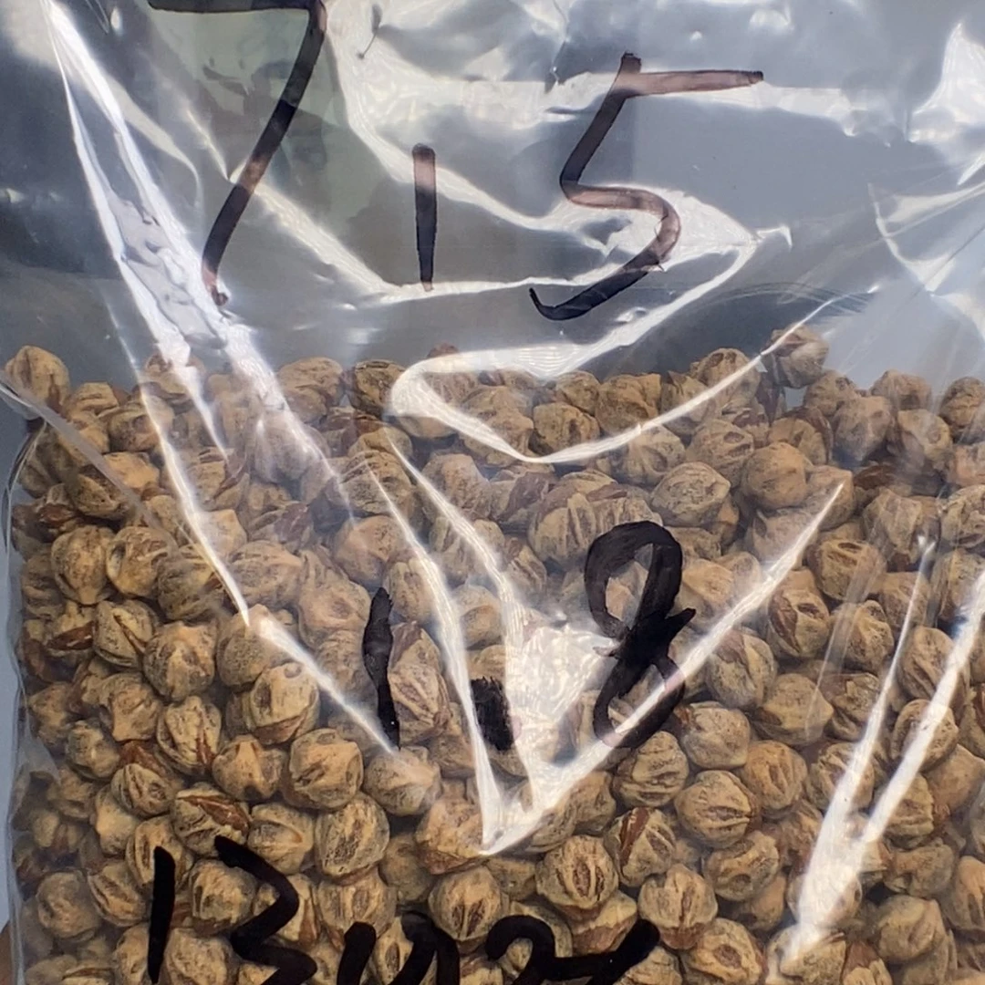 十***籽柏香籽/百香籽吊坠