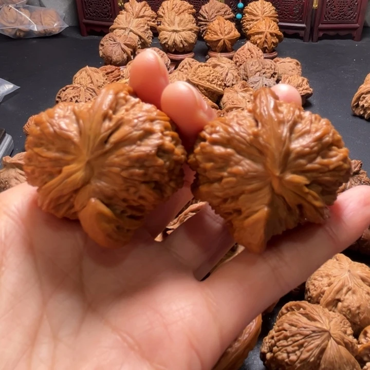 白狮子两棱挂角42尺寸核桃哈哈哈哈哈哈