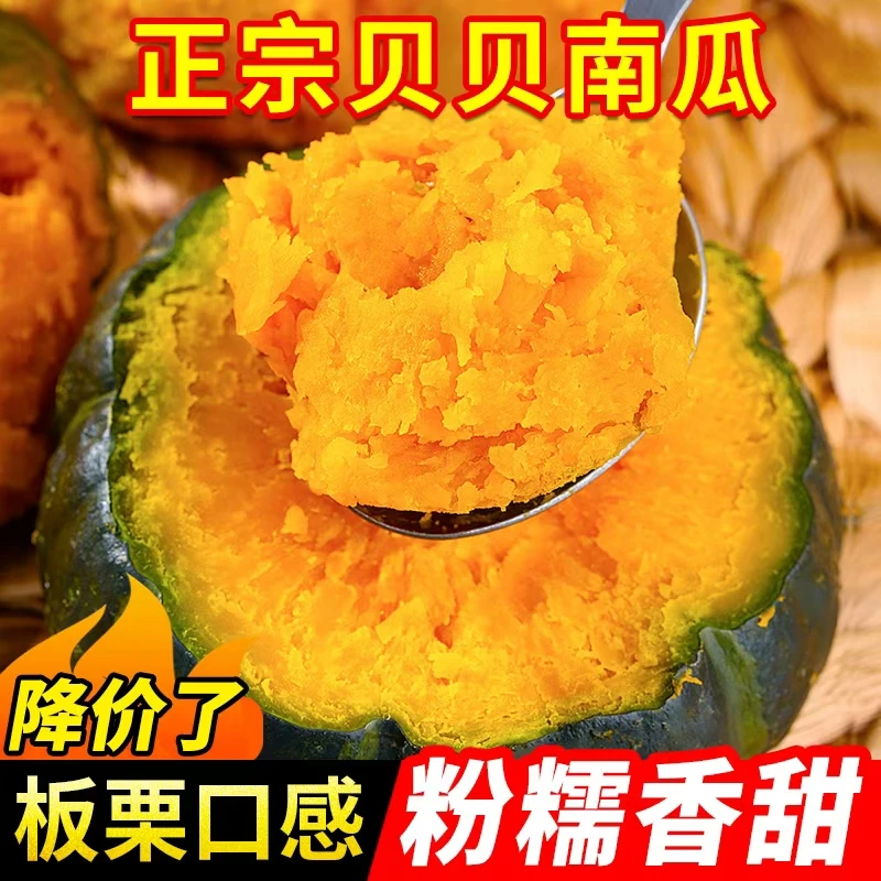 贝贝南瓜宝宝辅食粉糯香甜山东特产板栗味新鲜蔬菜做饭省事