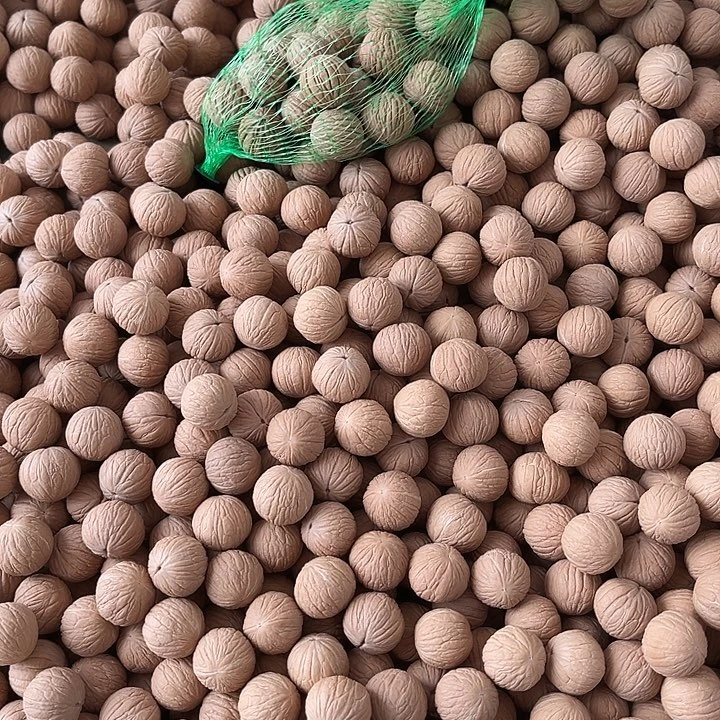 手串猴头核桃凤羽散珠山地籽100颗
