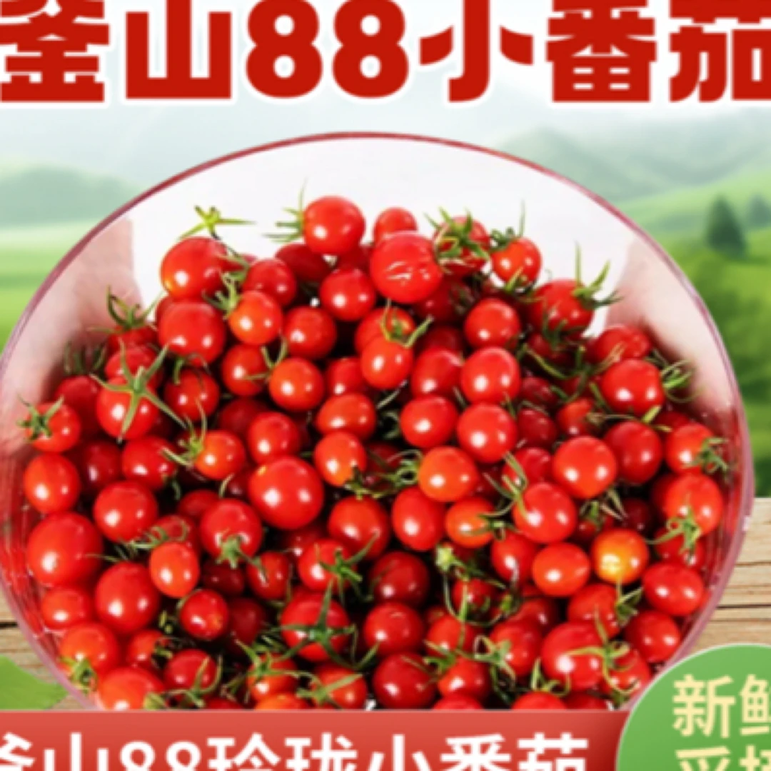 平度釜山88圣女果玲珑小番茄玲珑千禧果樱桃小柿子水果小西红柿500g~2500g新鲜番茄同城配釜山88山东省