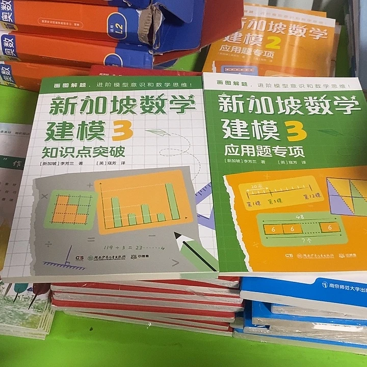 三年级新加坡数学建模