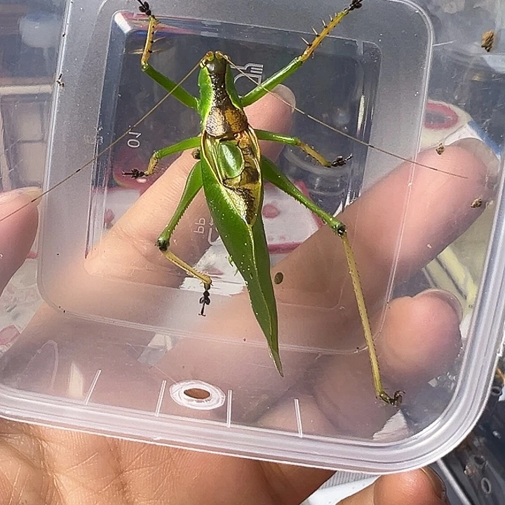 哈哈哈哈哈哈哈哈哈哈