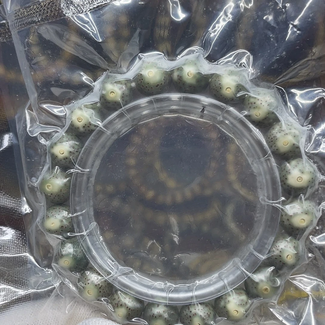 壳***)手串星月菩提11圆珠，绿包白月朗星稀