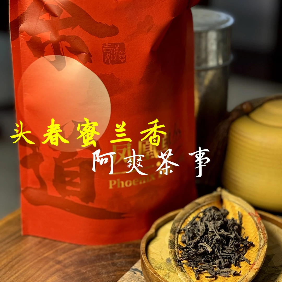 阿爽专属【头春蜜兰香】蜜兰香 山韵浓郁 潮州凤凰单丛花香春季250g