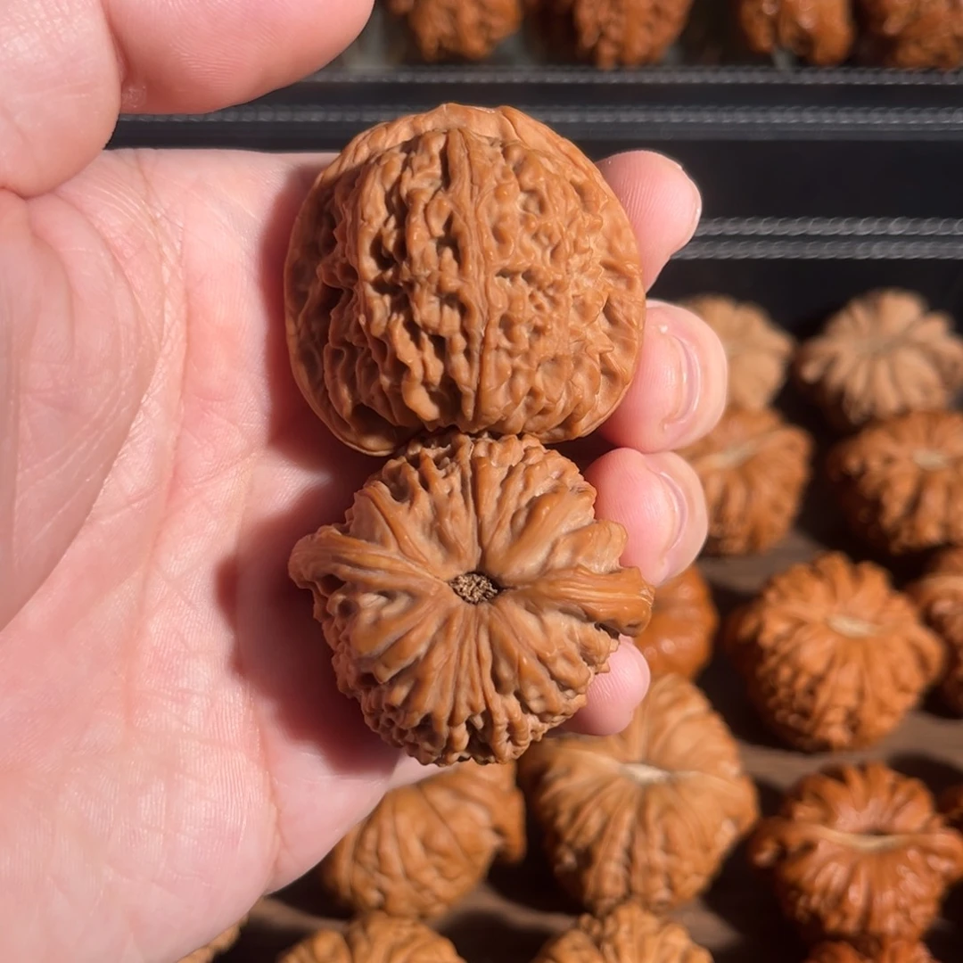 手串/手链核桃40全品团子疆