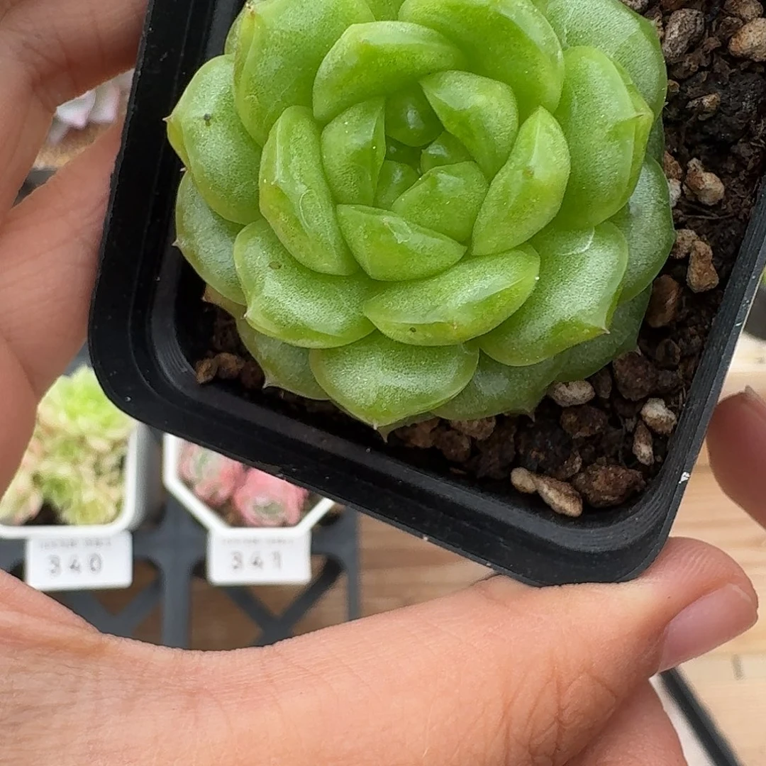****～科技宝贝专拍宝贝宝贝宝贝宝贝宝贝