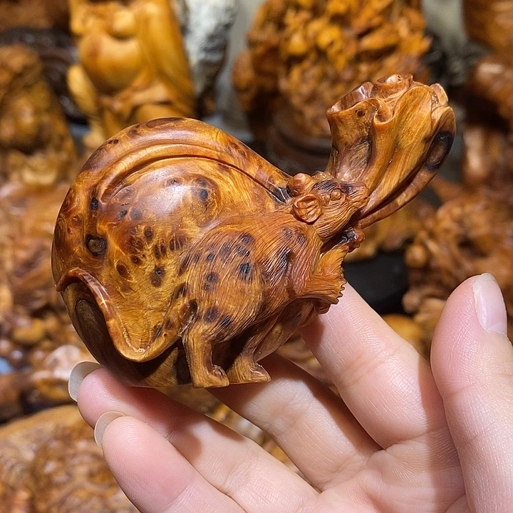 柏木太行崖柏陈化