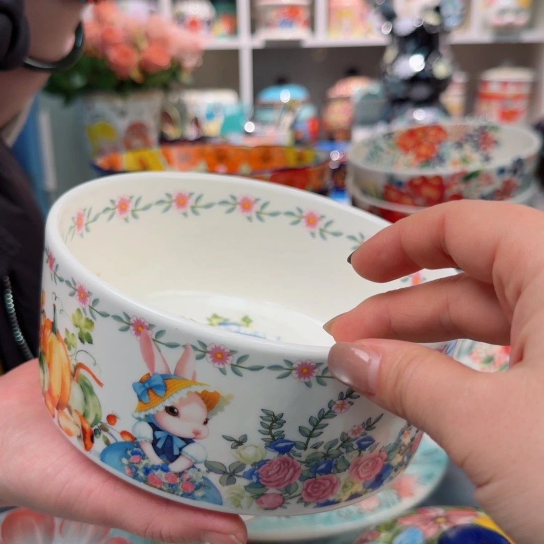 瓷片6英寸南瓜兔沙拉碗一只