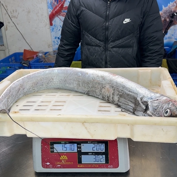 中国大陆青****檬带鱼