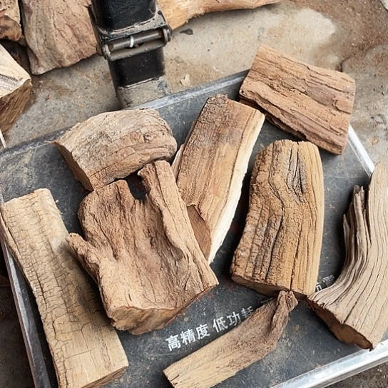 香榧木崖柏崖柏崖柏