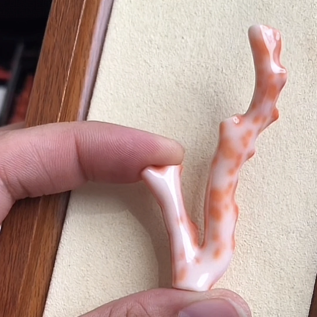 momo珊瑚原枝一个