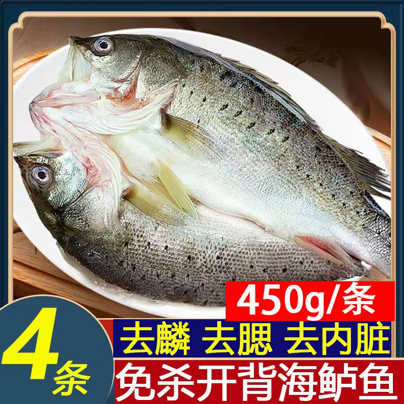开背海鲈鱼 4条 （450g/条）七星新鲜冷冻鲜嫩美味生鲜鱼