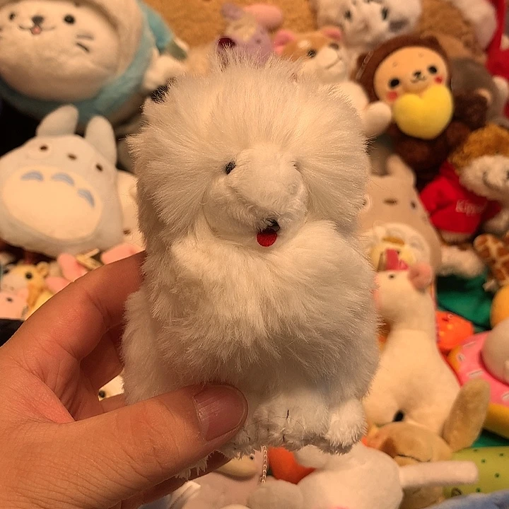 毛绒挂件哈哈哈哈哈哈哈