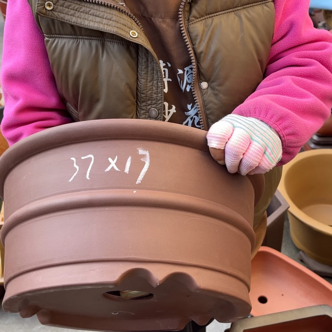 紫砂花盆盆景艺术