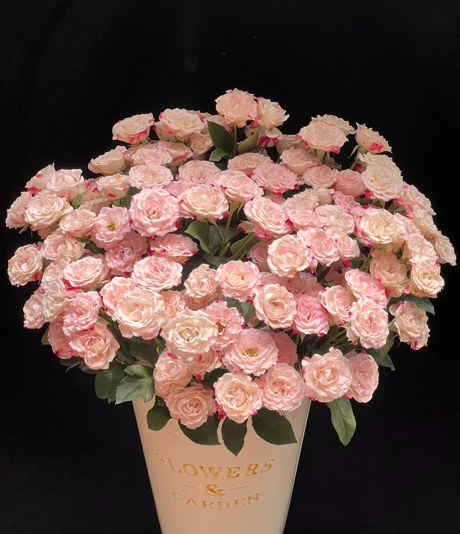 鲜花【小情人折射】同地址两单以上顺丰包邮送货上门+送配草1扎