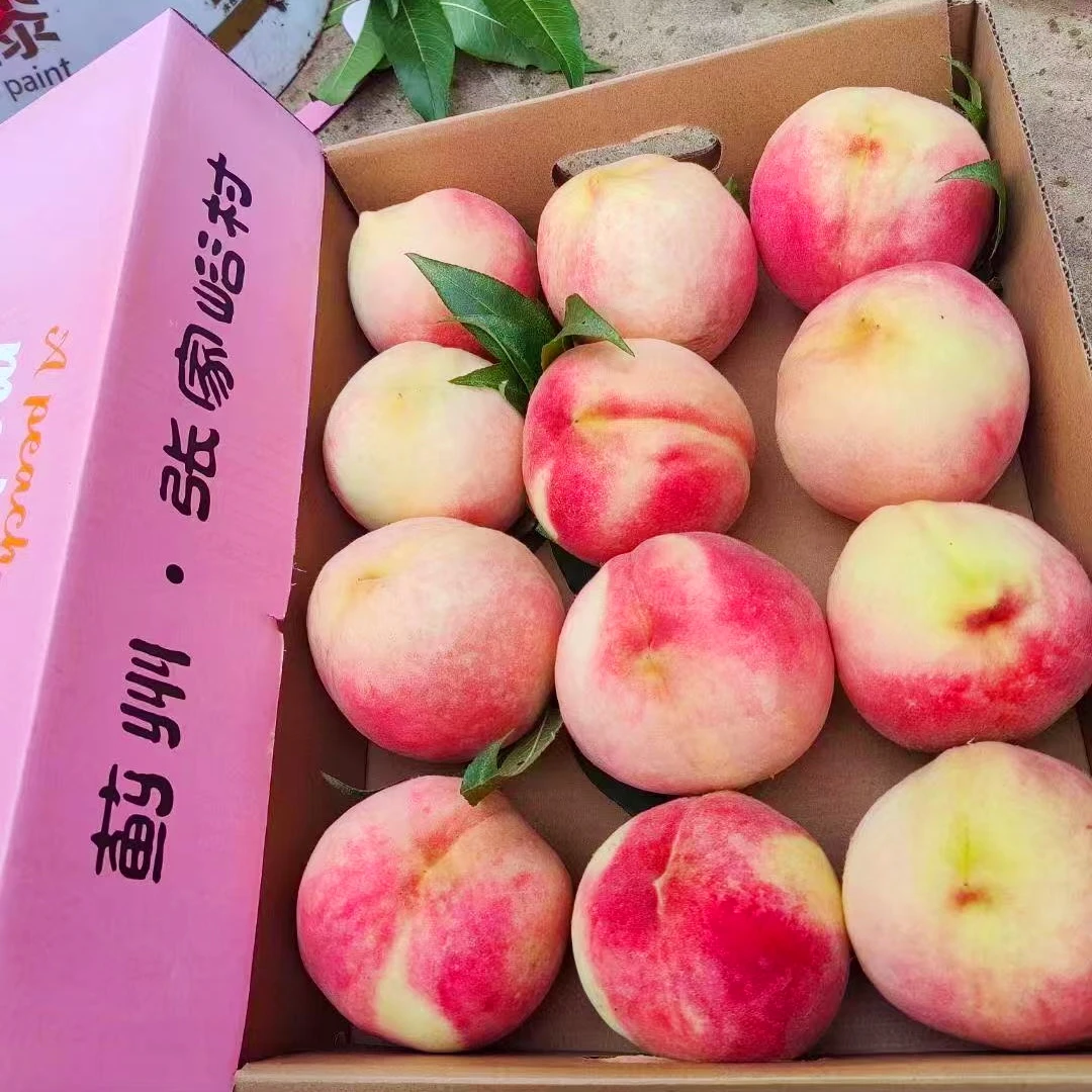 新鲜现摘 二十斤 蓟州张家峪双节红大桃（礼盒装2盒）天津市