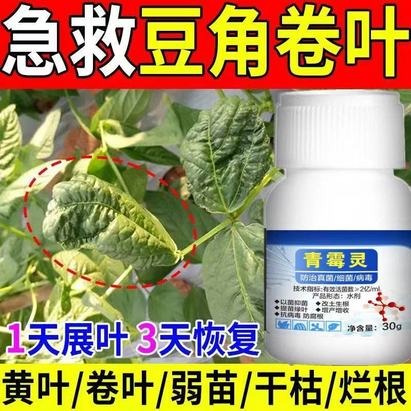 豆角病专用药花叶卷叶黄叶病豆角专用豆角病微生物菌剂